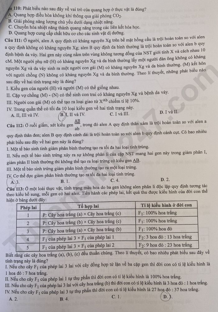 Dap an de thi tot nghiep THPT mon Sinh - Ma de 217 nam 2023