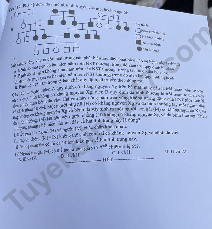 Dap an de thi tot nghiep THPT mon Sinh - Ma de 224 nam 2023