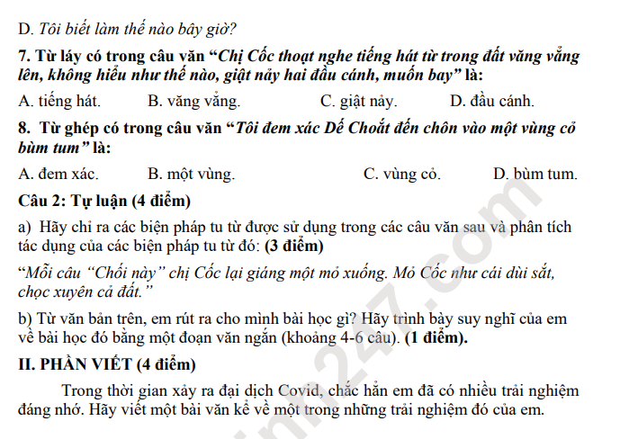 De thi giua ki 1 lop 6 mon Van 2022 - THCS Le Quy Don