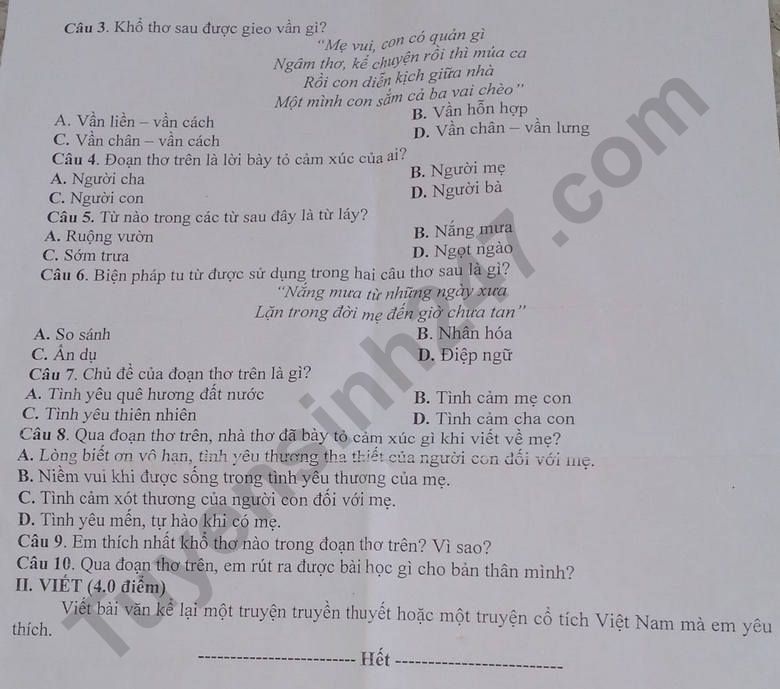 De thi giua ki 1 mon Van lop 6 nam 2023 - THCS Luong Tan Thinh
