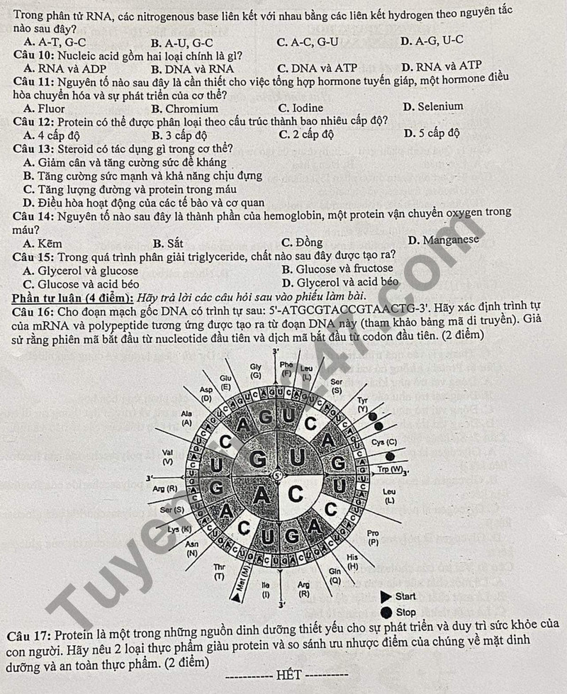 De thi giua ki 1 mon Sinh lop 10 - Truong TH thuc hanh Sai Gon 2023