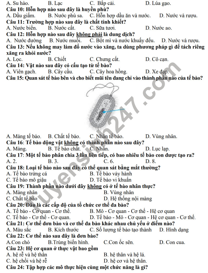 De thi cuoi ki 1 mon Khoa hoc tu nhien lop 6 - THCS Ngoc Thuy 2023