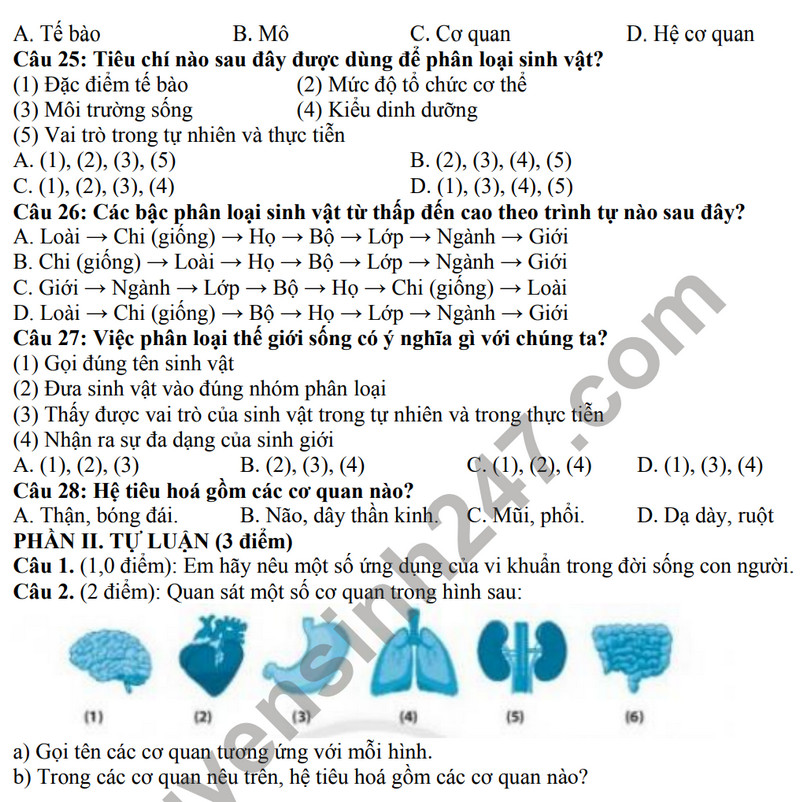 De thi cuoi ki 1 mon Khoa hoc tu nhien lop 6 - THCS Ngoc Thuy 2023