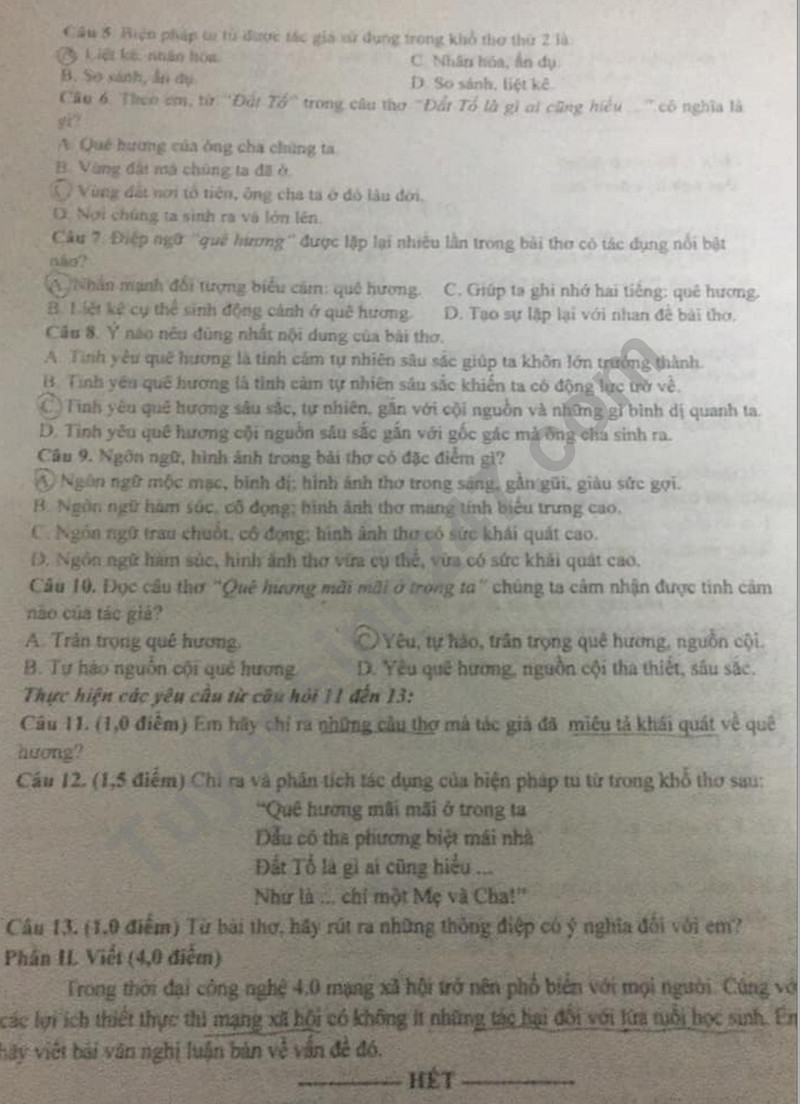 De thi ki 1 lop 8 mon Van - Phong GD Hai Hau 2023