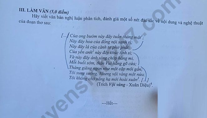 De thi ki 1 mon Van lop 10 - THPT Thuc hanh Su pham TPHCM 2023
