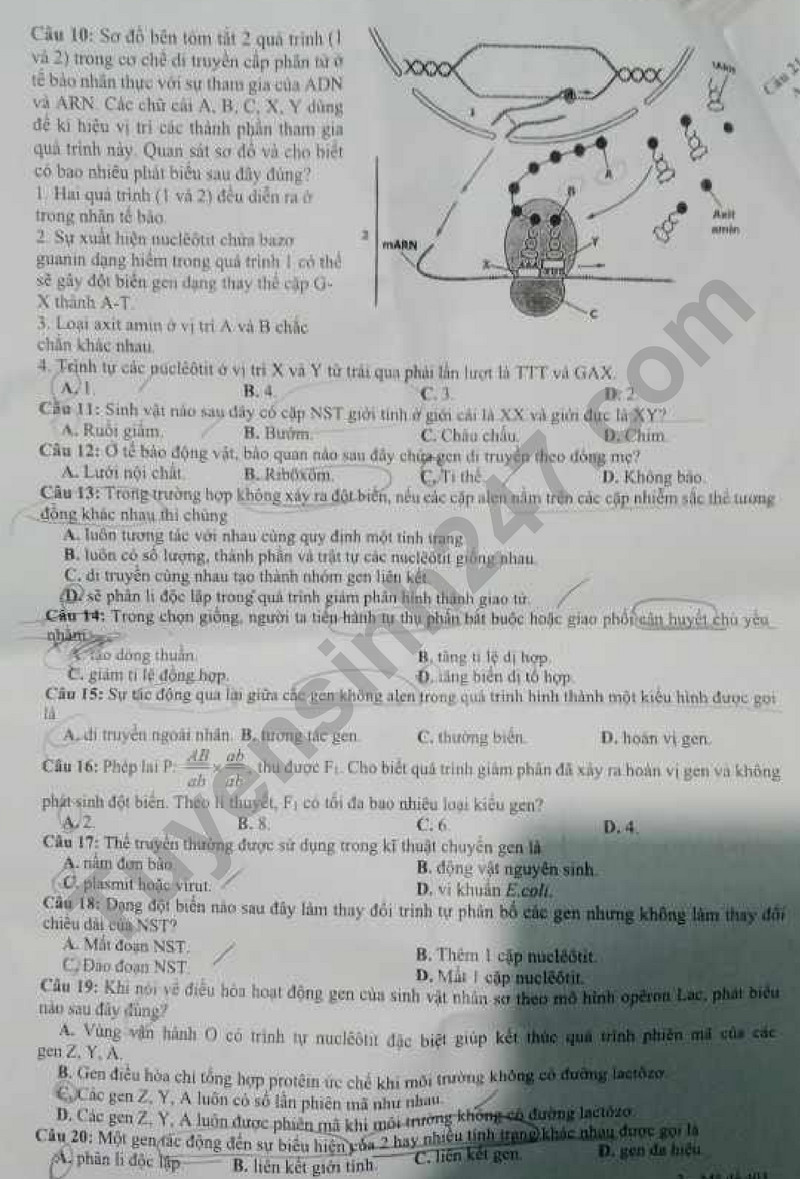 De thi HK 1 mon Sinh lop 12 - So GD Binh Duong 2023