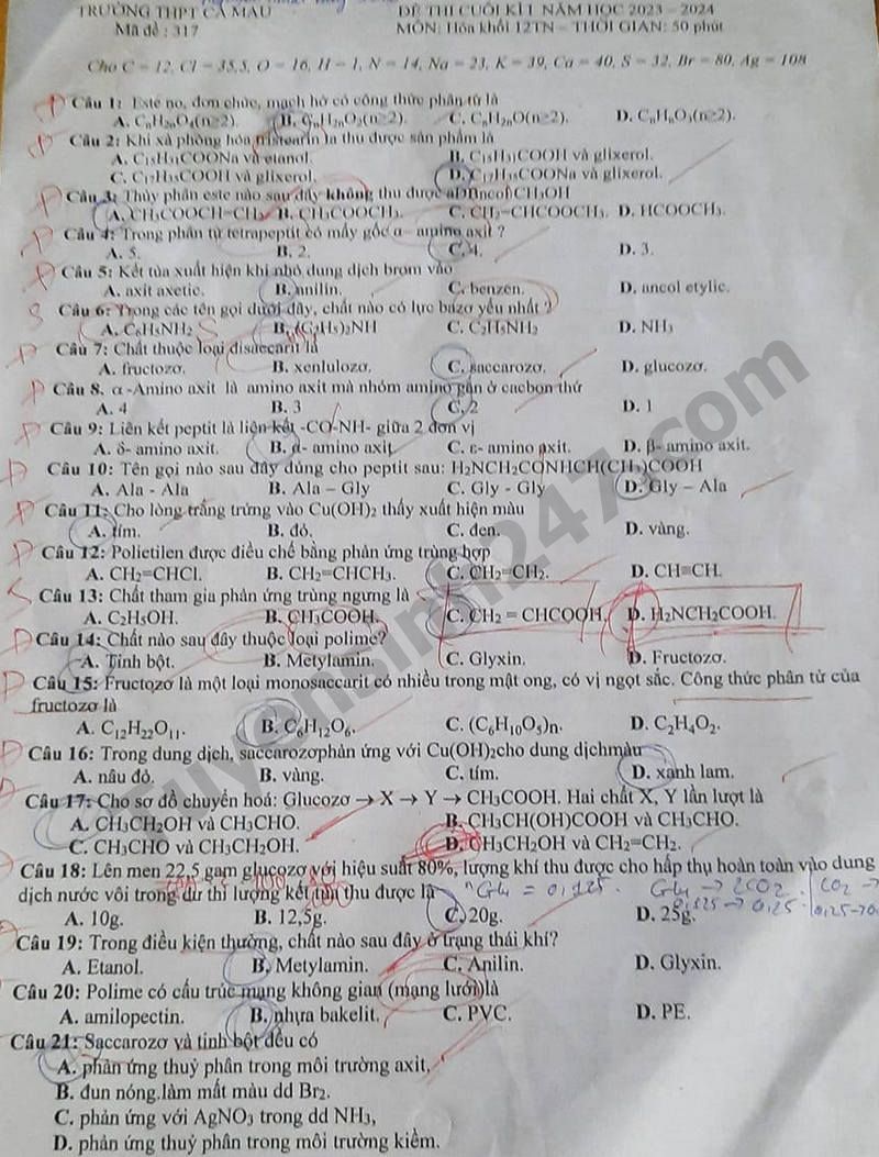De hoc ki 1 lop 12 nam 2023 mon Hoa - THPT Ca Mau