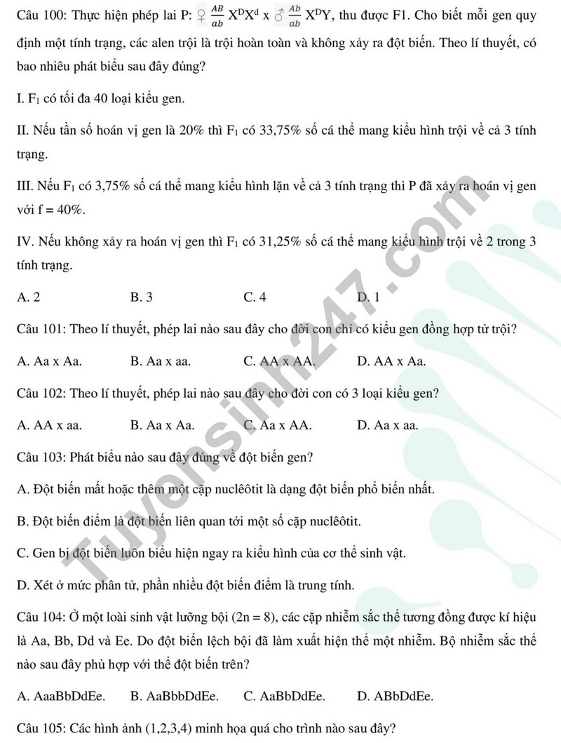 De thi cuoi ki 1 mon Sinh lop 12 - So GD Thai Binh 2023