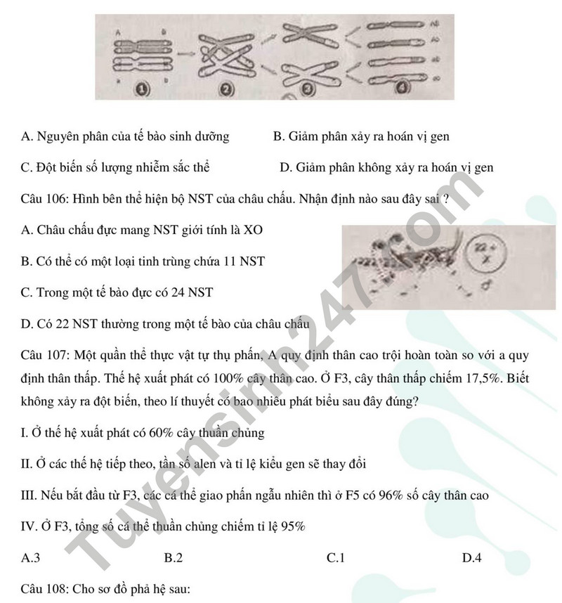De thi cuoi ki 1 mon Sinh lop 12 - So GD Thai Binh 2023