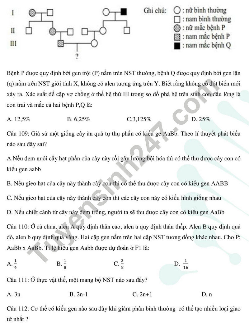 De thi cuoi ki 1 mon Sinh lop 12 - So GD Thai Binh 2023