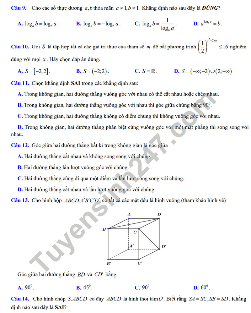 De cuong on tap giua ki 2 mon Toan lop 11 - THPT Hoang Van Thu 2024