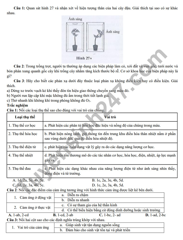 De cuong on tap giua ki 2 mon Sinh lop 11 nam 2024 - THPT Hoang Van Thu