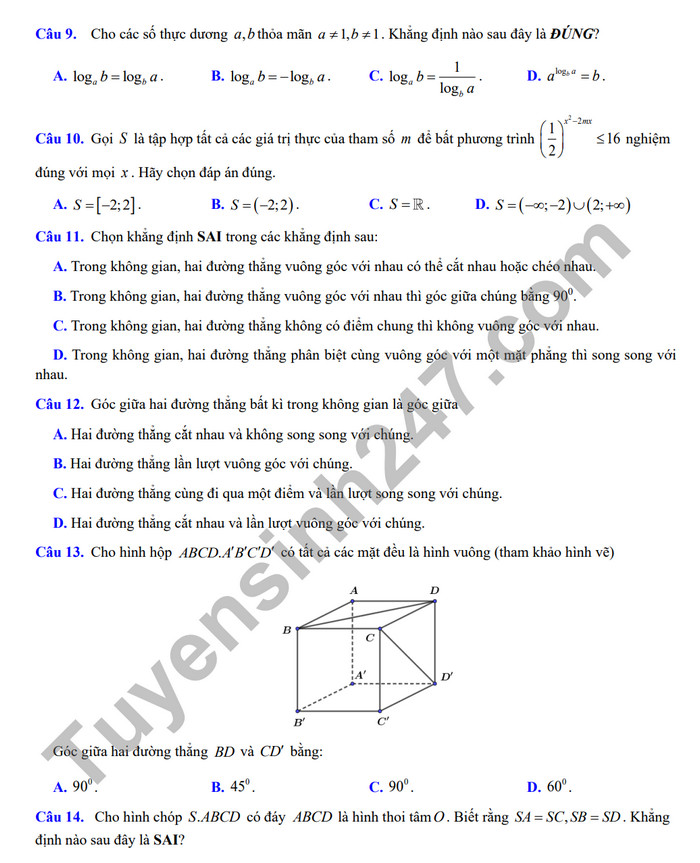 De cuong on tap ki 2 mon Toan lop 11 - THPT Hoang Van Thu 2024