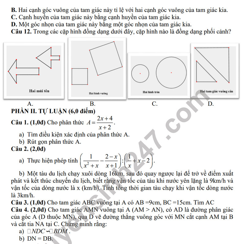 De thi giua ki 2 nam 2024 mon Toan lop 8 - THCS Ly Tu Trong (Co dap an)
