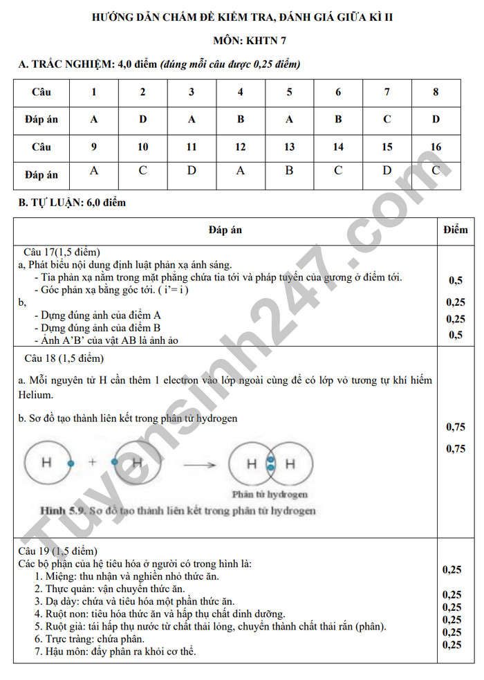 De thi giua ki 2 nam 2023 mon Khoa hoc tu nhien lop 7 - THCS Dong Tam (Co dap an)