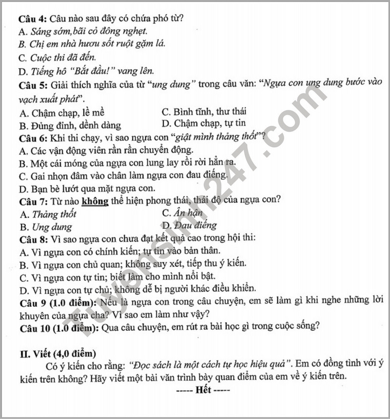 De thi giua ki 2 mon Van lop 7 nam 2024 - THCS To Hoang