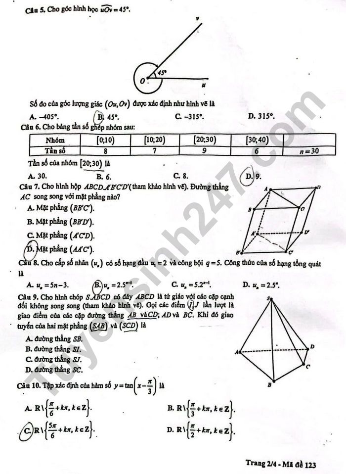 Huong dan giai de khao sat lop 11 mon Toan 2024 - So GD Ha Noi ma de 123