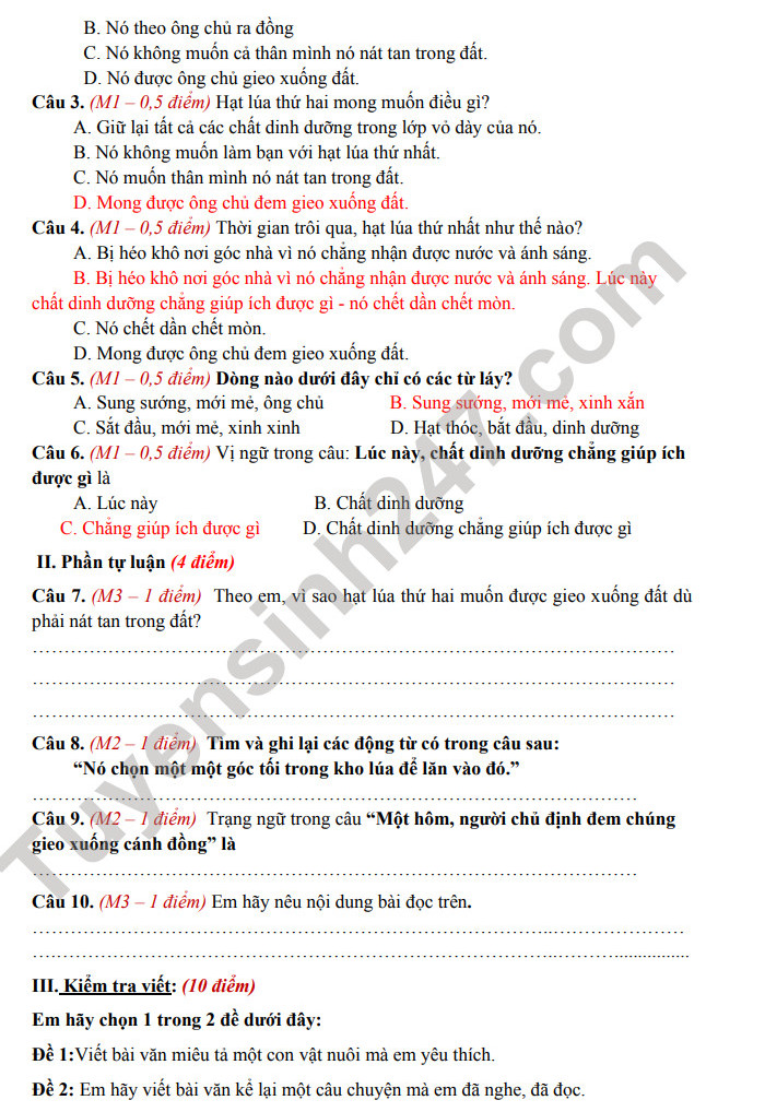 De thi giua ki 2 lop 4 mon Tieng Viet 2024 - TH Tu Thien (Co dap an)