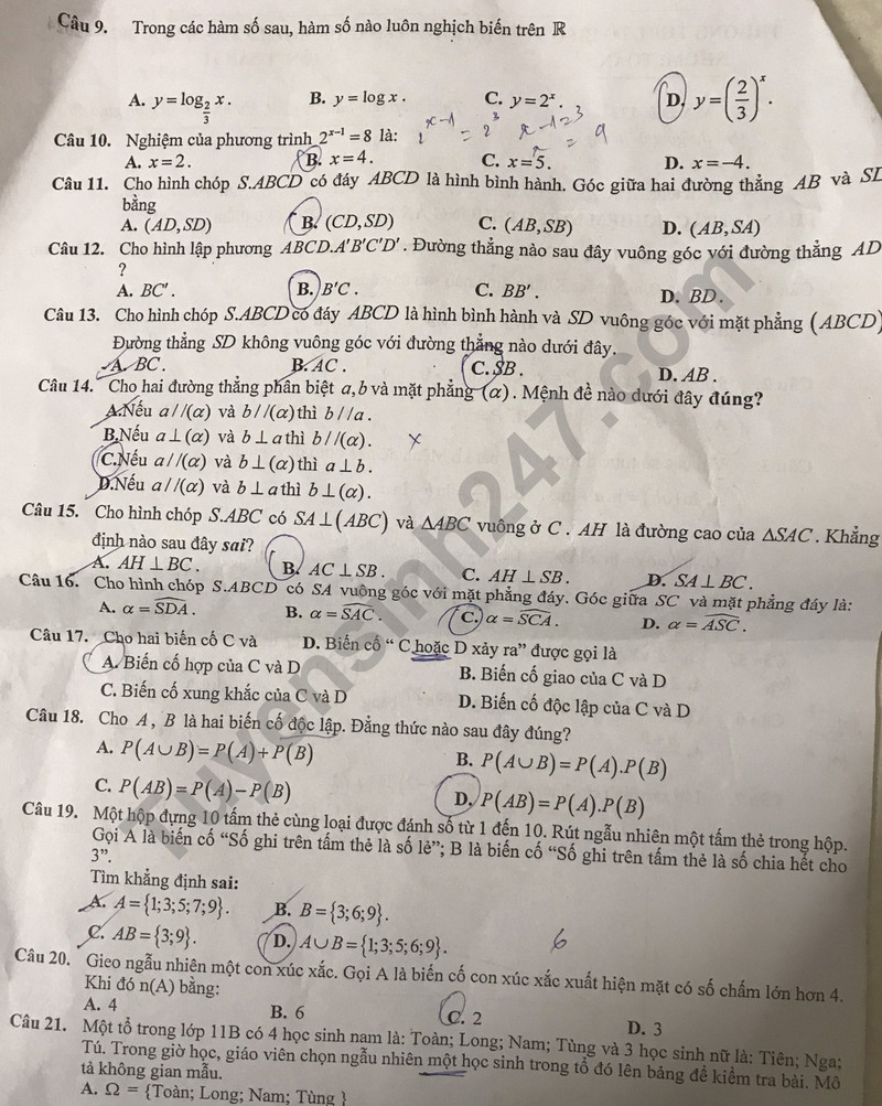 De thi giua ki 2 mon Toan lop 11 nam 2024 - THPT To Hieu