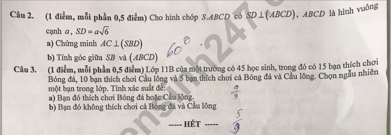 De thi giua ki 2 mon Toan lop 11 nam 2024 - THPT To Hieu