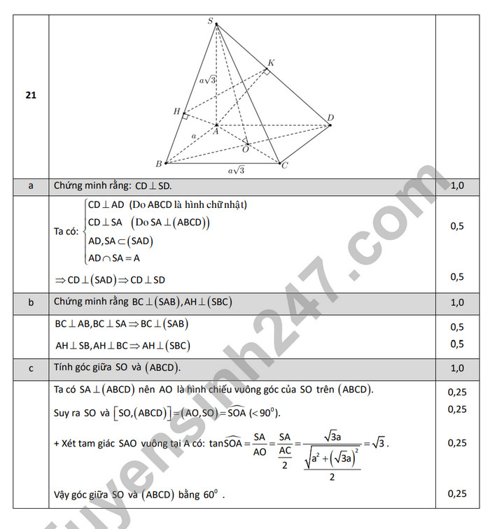 De thi giua ki 2 mon Toan lop 11 - Trung hoc Thuc Hanh - DHSP 2024 (Co dap an)