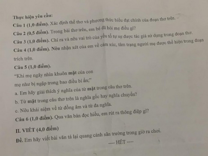 De thi giua ki 2 lop 6 mon Van 2024 - Truong PT Thuc Hanh Su Pham Dong Nai
