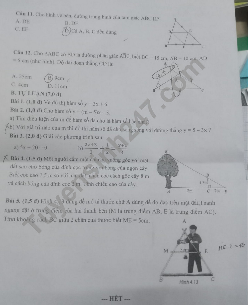 De thi giua ki 2 mon Toan lop 8 nam 2024 - THCS Duong Van Thi