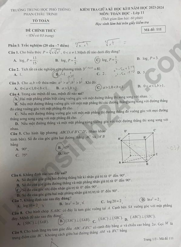 De thi giua ki 2 mon Toan lop 11 nam 2024 - THPT Phan Chau Trinh