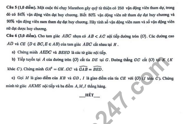 De thi ki 2 mon Toan lop 9 - TH Thuc hanh Sai Gon 2024