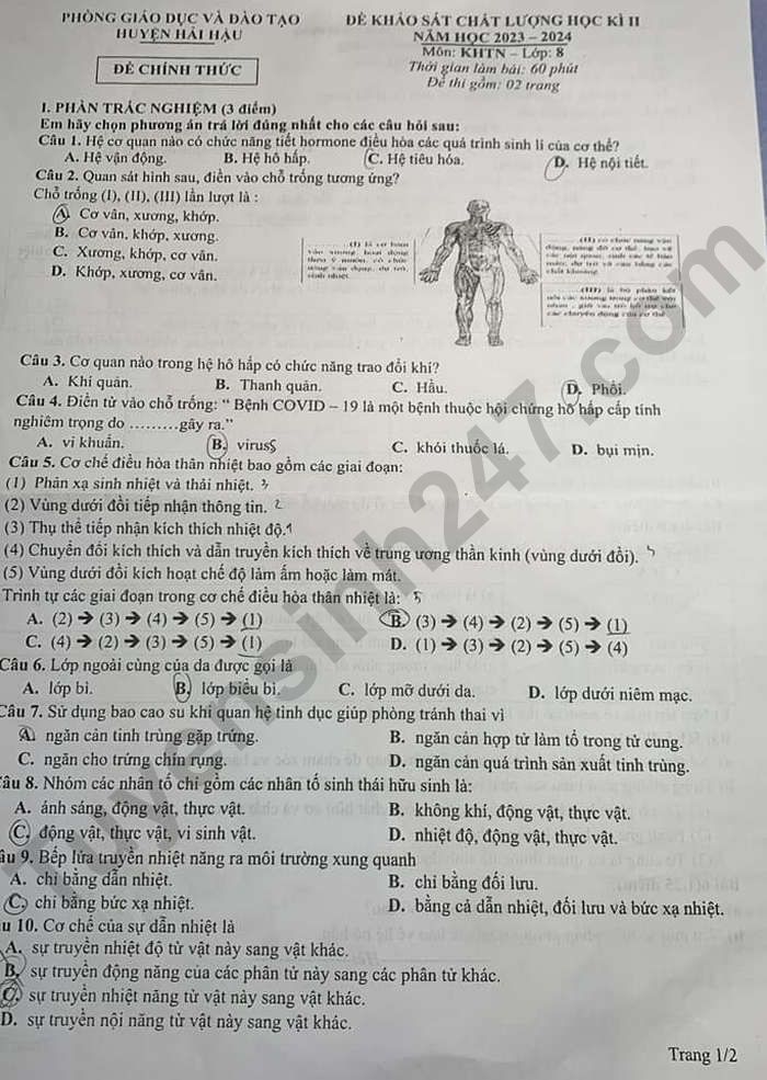 De thi ki 2 mon KHTN lop 8 - Phong GD Hai Hau 2024