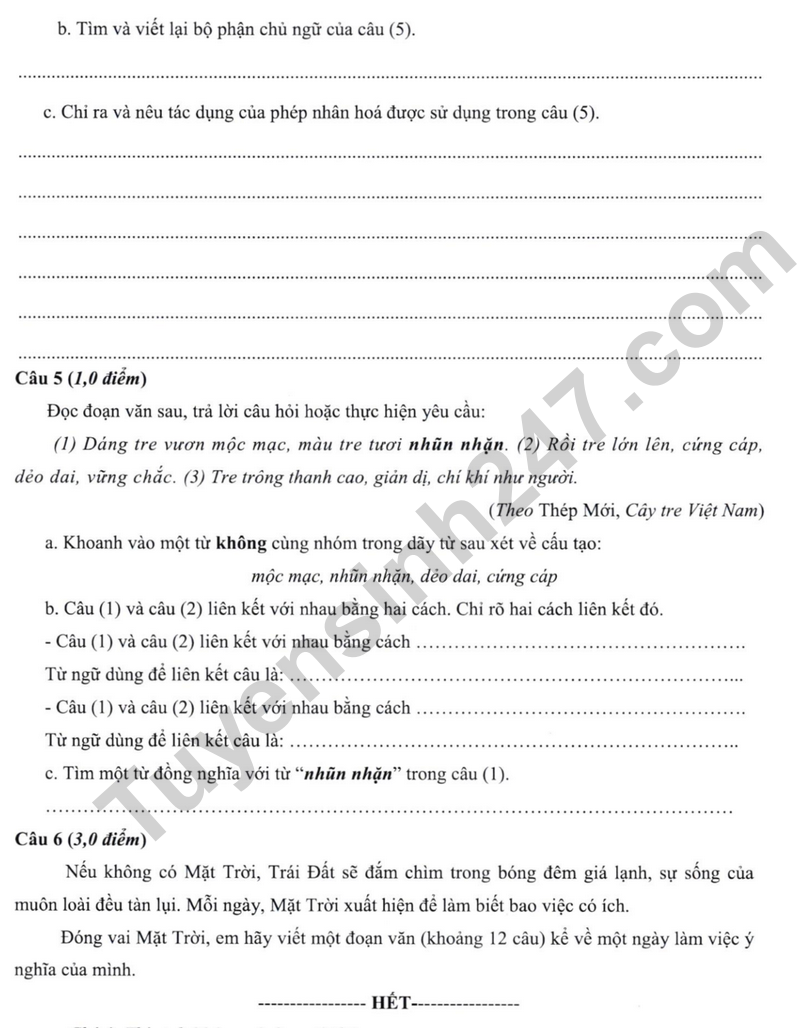 De thi vao lop 6 mon Tieng Viet 2024 - THCS&THPT Nguyen Tat Thanh