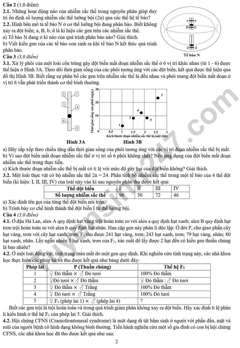 De thi vao lop 10 mon Sinh hoc - Chuyen Bac Giang 2024