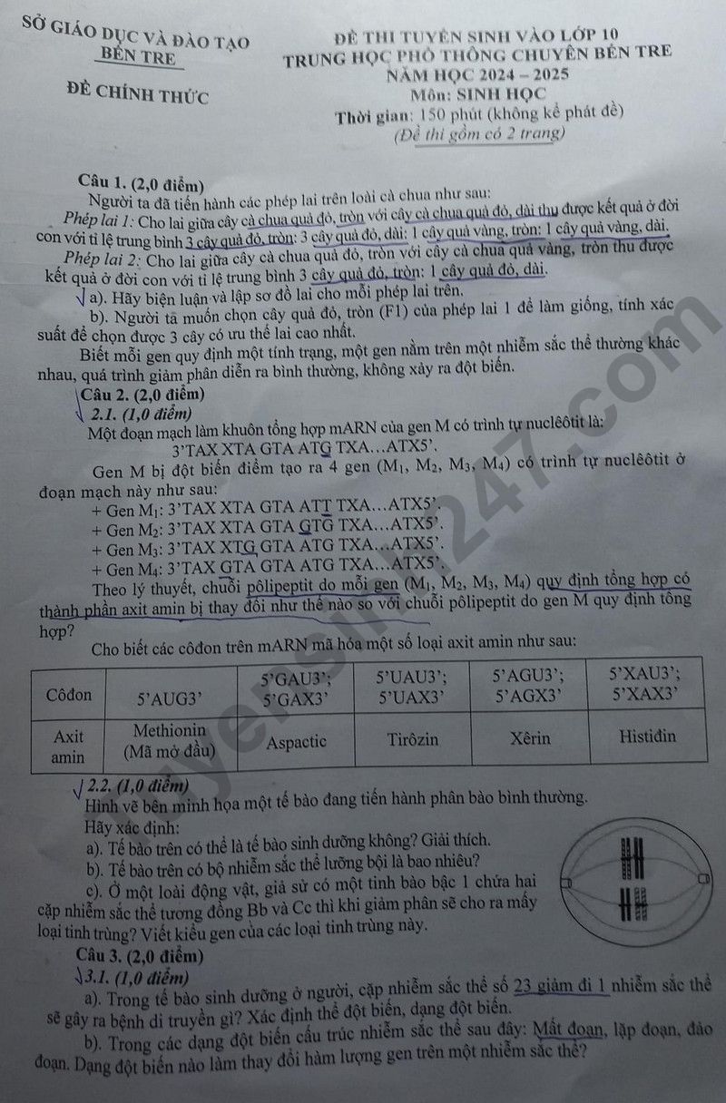 De thi vao lop 10 mon Sinh chuyen - Ben Tre 2024