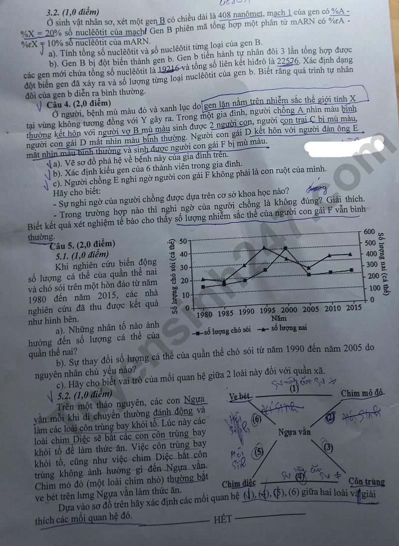 De thi vao lop 10 mon Sinh chuyen - Ben Tre 2024