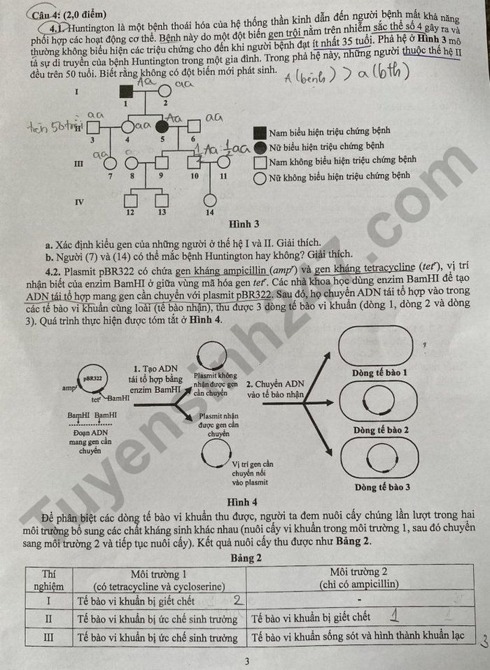 De thi vao lop 10 TPHCM nam 2024 - mon Sinh chuyen
