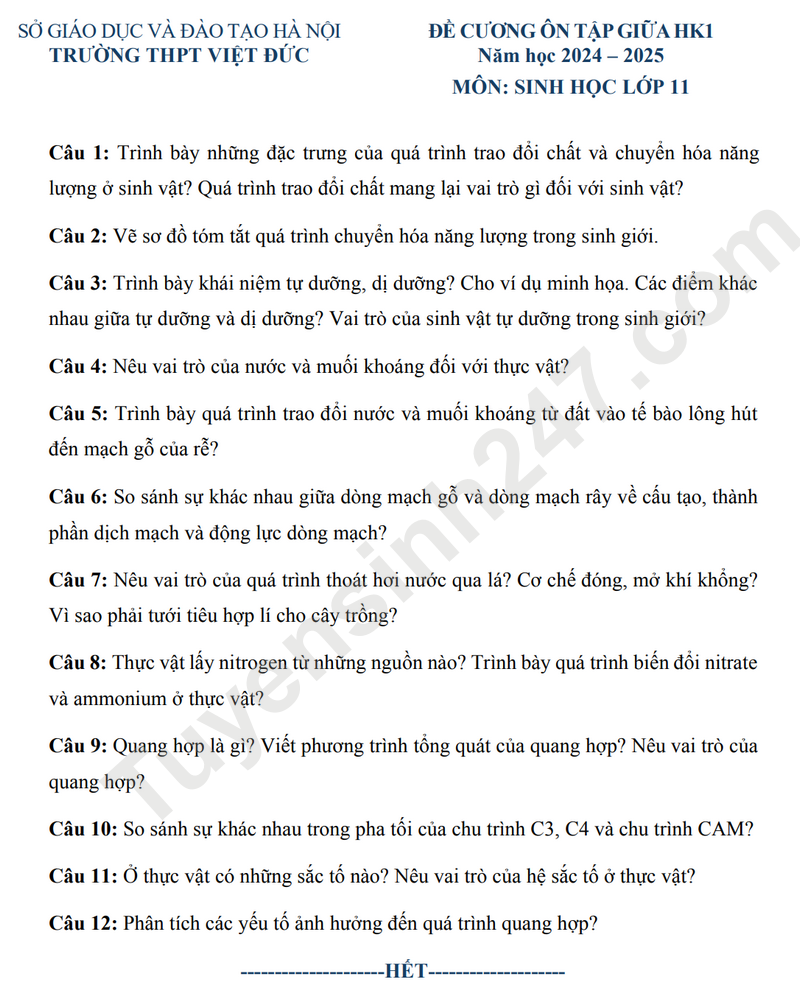 De cuong on tap giua HK1 lop 11 mon Sinh 2025 - THPT Viet Duc
