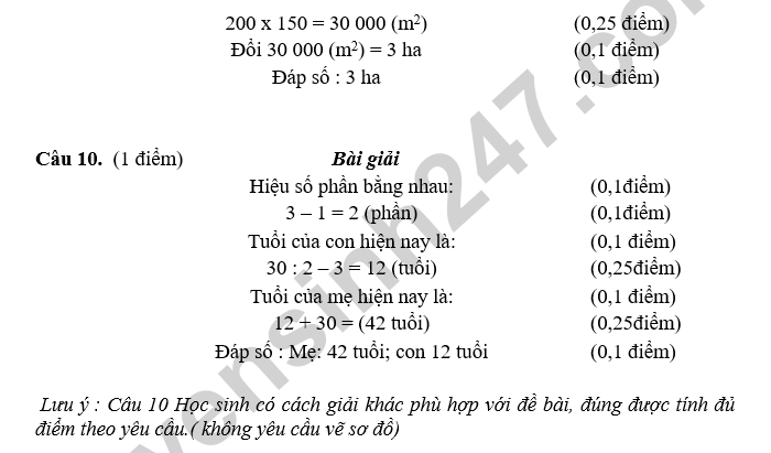De thi giua ki 1 mon Toan lop 5 - TH Tra Binh 2024 (co dap an)