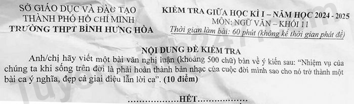 De thi giua HK1 lop 11 mon Van - THPT Binh Hung Hoa 2024