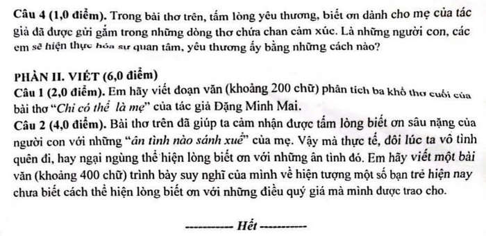 De thi giua hoc ki 1 nam 2024 THCS Giang Vo - mon Van 9