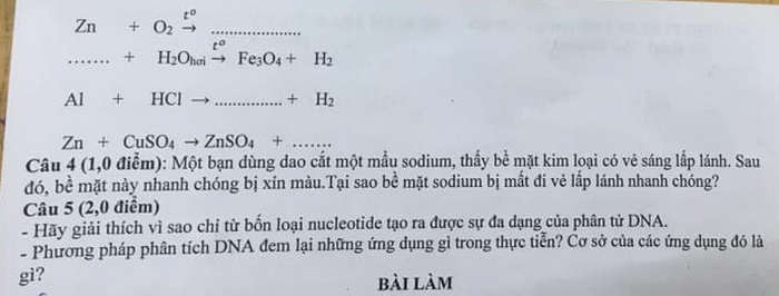 De thi giua ki 1 nam 2024 mon KHTN 9 - PTDT BT TH&THCS Cao Bo
