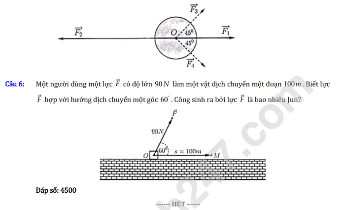 De thi cuoi hoc ki 1 lop 10 mon Toan nam 2024 - THPT Nguyen Thai Binh