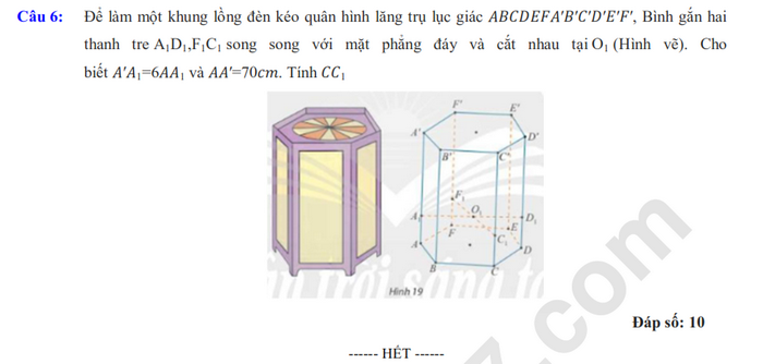 De thi cuoi hoc ki 1 lop 11 mon Toan nam 2024 - THPT Nguyen Thai Binh