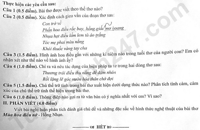 De thi hoc ki 1 mon Van lop 10 nam 2024 - THPT Nguyen An Ninh