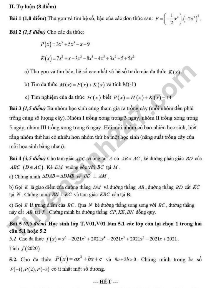 De on tap giua ki 2 mon Toan 7 nam 2025 - THCS&THPT Luong The Vinh