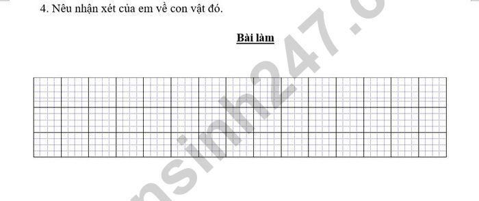 De on tap mon Tieng Viet giua ki 2 lop 1 nam 2025 - TH My Thang