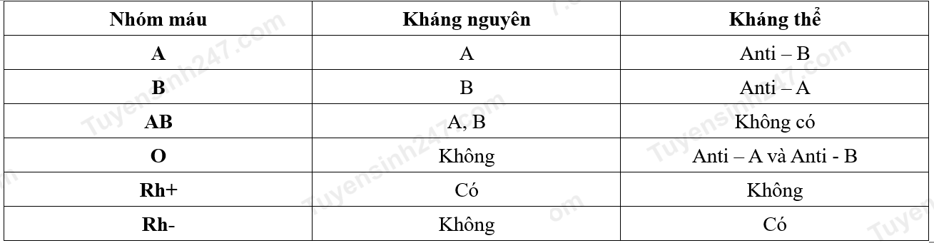 A table of text with black text

Description automatically generated with medium confidence