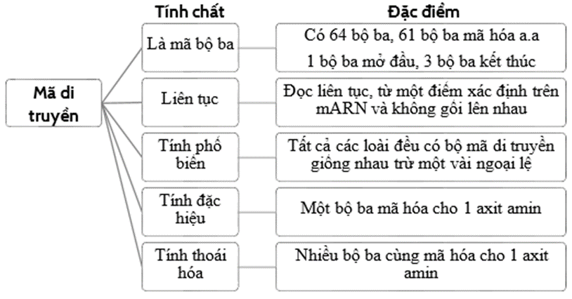 A chart with text and images

Description automatically generated with medium confidence