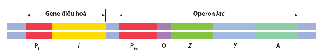 A colorful bars with black text

Description automatically generated with medium confidence