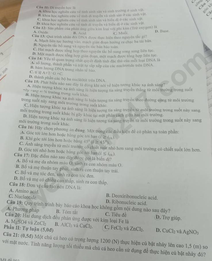 De thi giua ki 1 lop 9 mon KHTN 2025 - THCS THPT Lam Binh