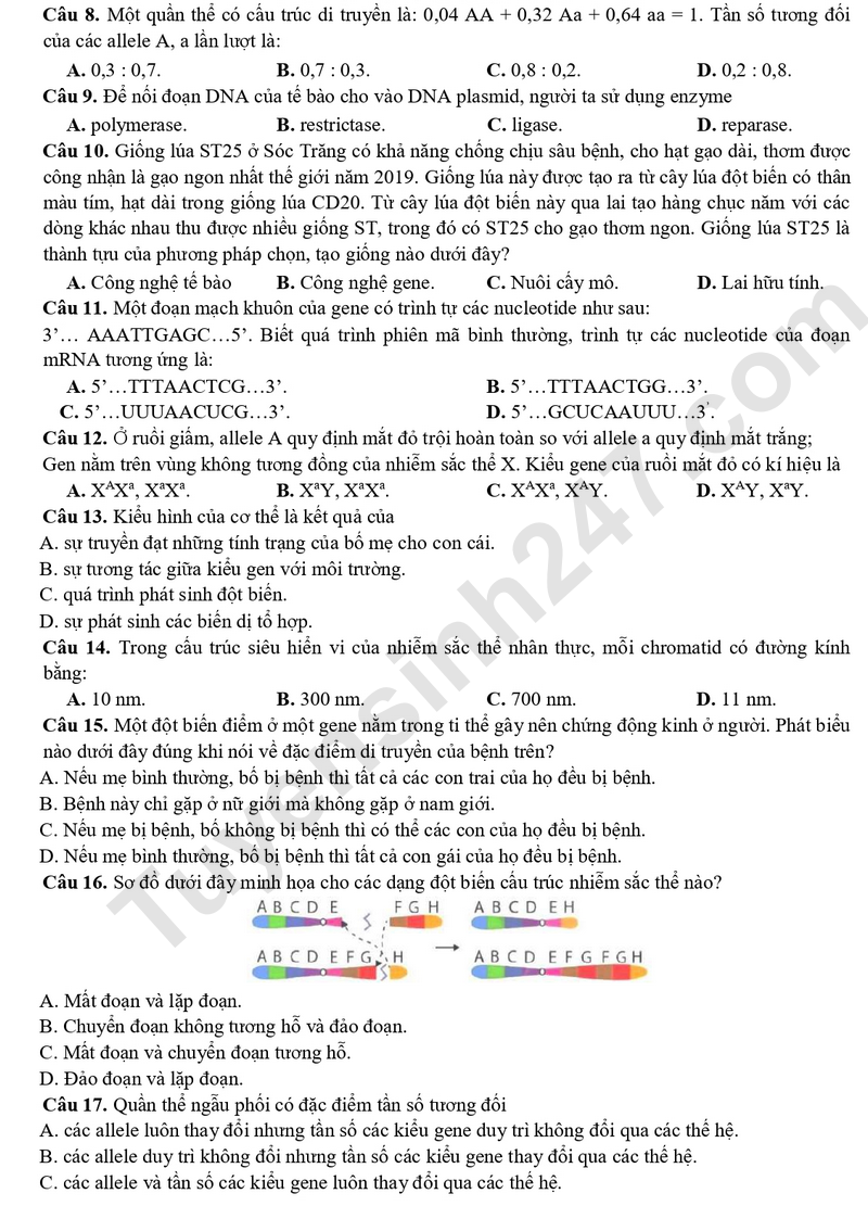 De thi ki 1 lop 12 mon Sinh 2025 - So GD Bac Ninh (Co dap an)